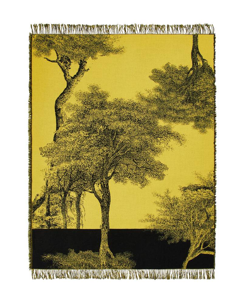 Lanerossi Radici plaid by Palomba Serafini Acquista Ora